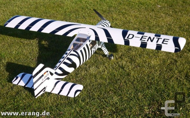 DO 27 Zebra by Staufenbiel