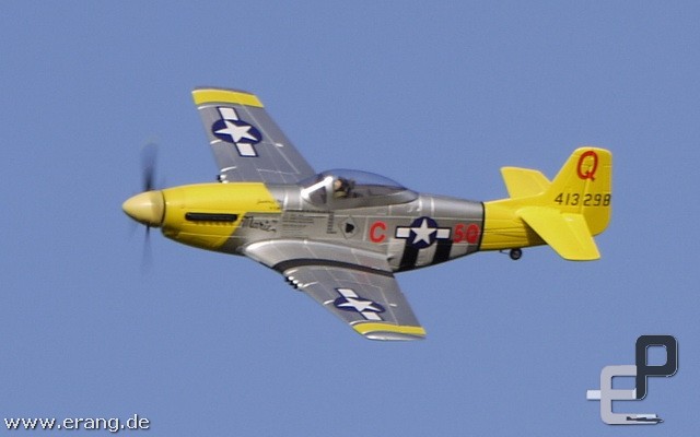 Mustang P51D  by Schweighofer Modellbau 