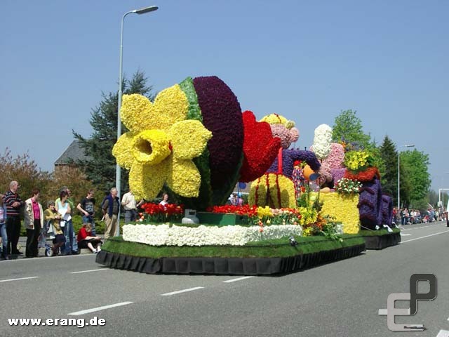 Blumenkorso Holland