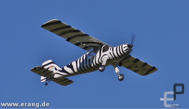 Do27 Zebra by Staufenbiel
